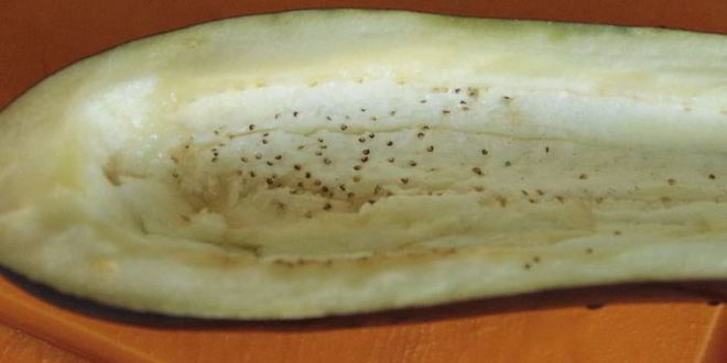 Рецепт баклажаны крамбл