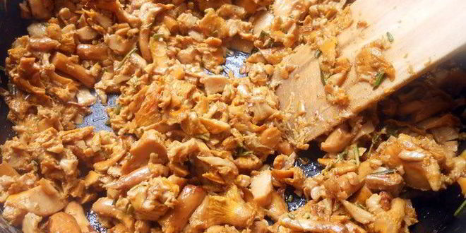 Рецепт блинная лазанья с лисичками и творожным кремом