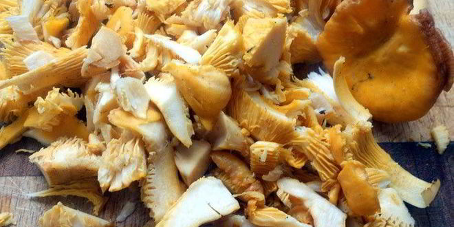 Рецепт блинная лазанья с лисичками и творожным кремом