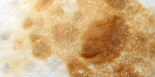 Рецепт блинная лазанья с лисичками и творожным кремом