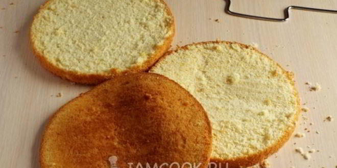 Рецепт бостонский кремовый торт