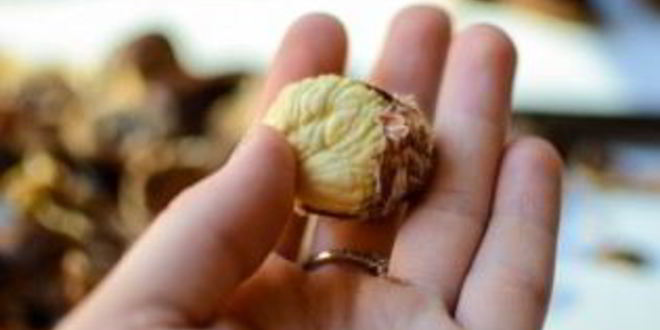 Рецепт каштановый крем