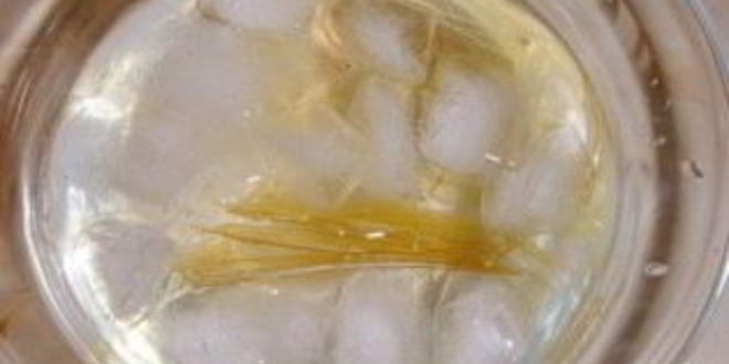 Рецепт крем шибуст