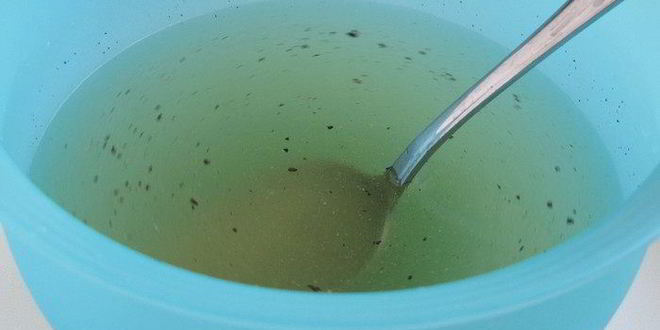 Рецепт ланспик с кремом из форели и креветками