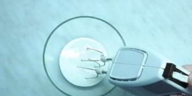 Рецепт абрикосовое мороженое