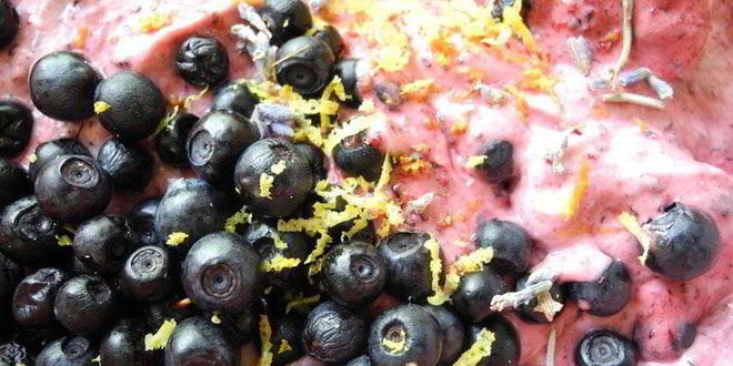 Рецепт черничное мороженое из сметаны