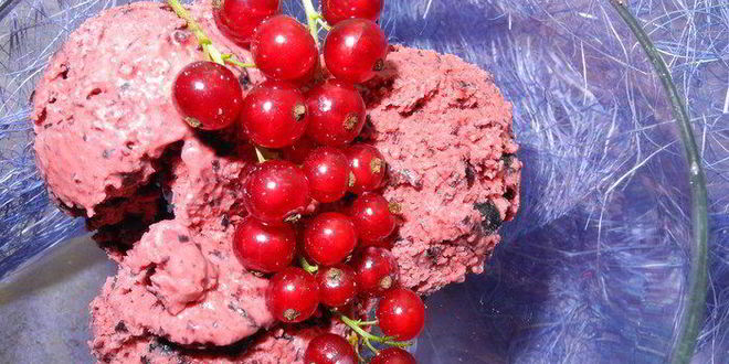 Рецепт черничное мороженое из сметаны