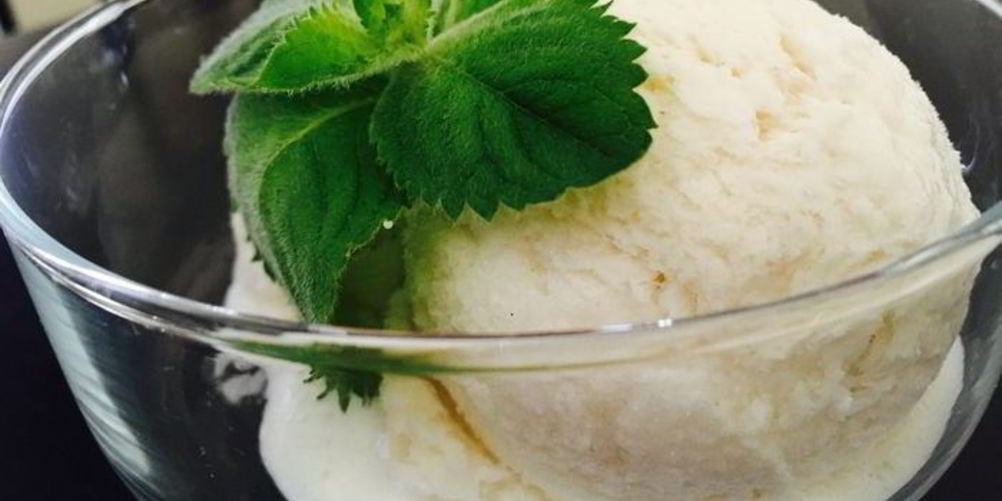 Как приготовить диетическое мороженое пломбир