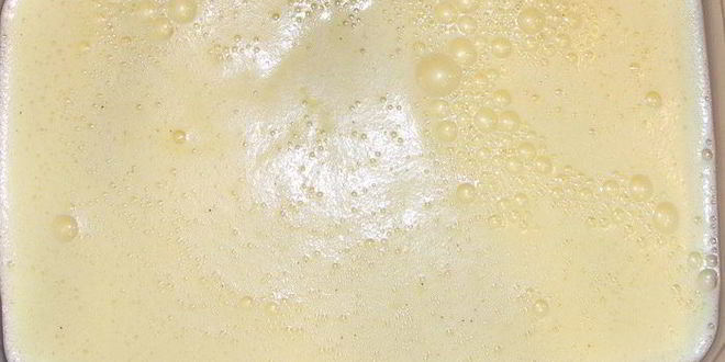 Рецепт медовое мороженое с кизилом и ананасом