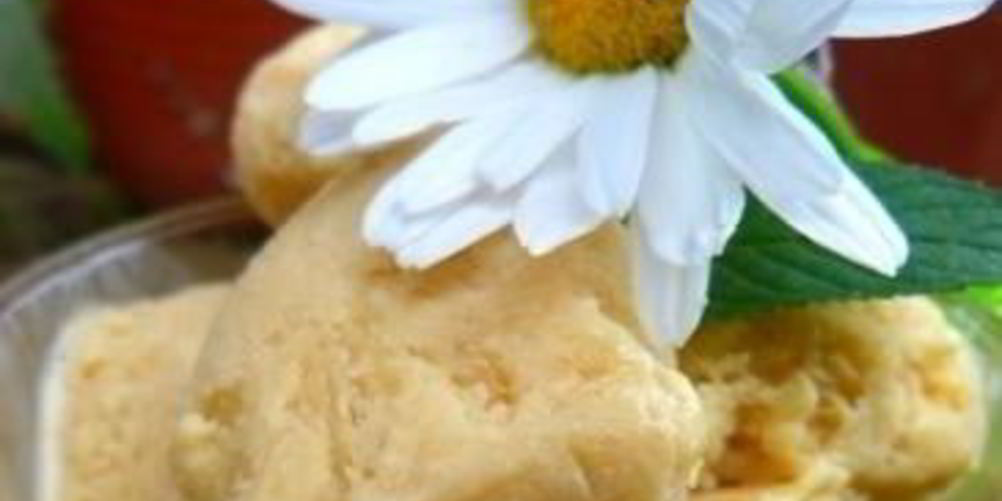 Как приготовить мороженое из козьего молока