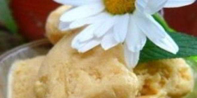 Рецепт мороженое из козьего молока