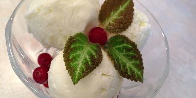 Рецепт мороженое с лимонным соком