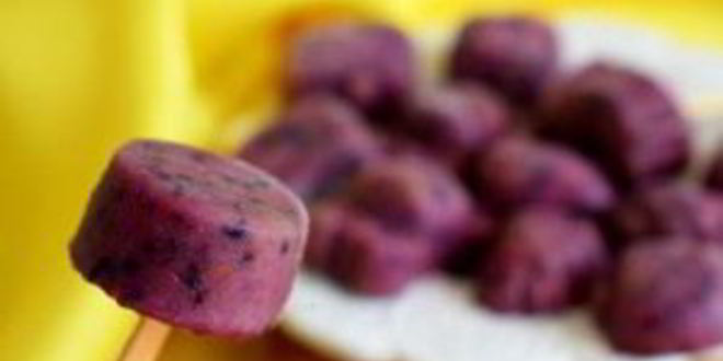 Рецепт мороженое с шелковицей