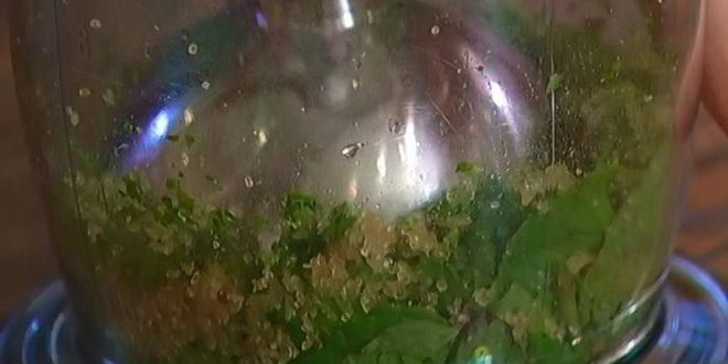 Рецепт мятное мороженое