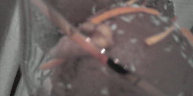 Рецепт шоколадно-кофейное мороженое