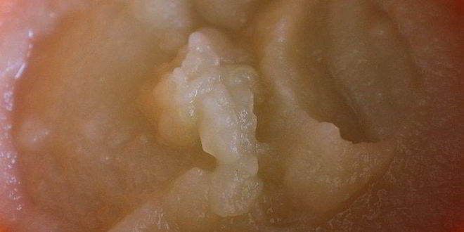 Рецепт мусс яблочная фантазия