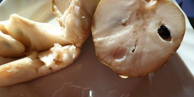 Рецепт мусс-желе из хурмы, черимойи и амареттини под крем-фрешем