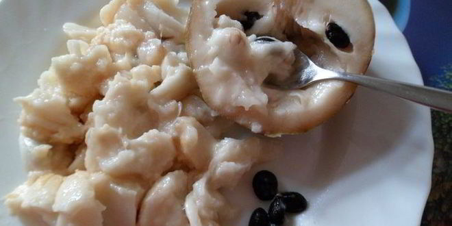 Рецепт мусс-желе из хурмы, черимойи и амареттини под крем-фрешем