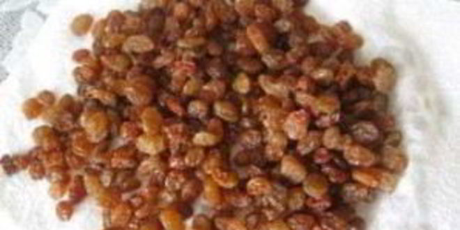 Рецепт быстрое тесто для кулича