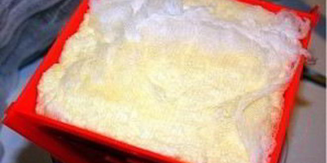 Рецепт пасха из молока