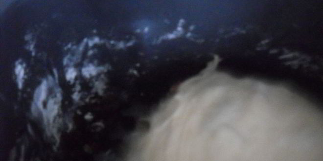 Рецепт пасхальный кулич и булочки-гнездышки