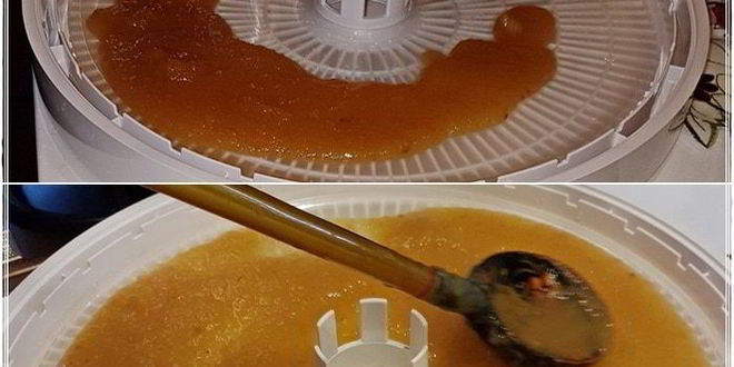 Рецепт пастила из антоновки