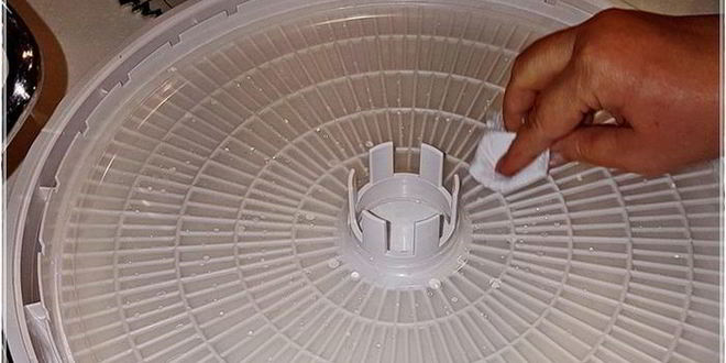 Рецепт пастила из антоновки