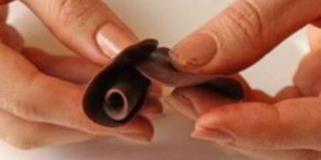 Рецепт шоколадные розы