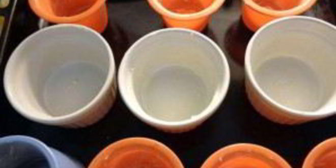 Рецепт творожно-ягодный пудинг