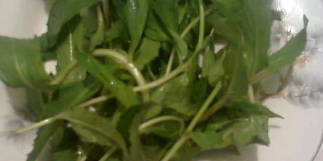 Рецепт желе мятное