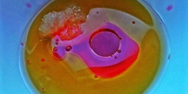 Рецепт чечевица с пикантным луком и авокадо