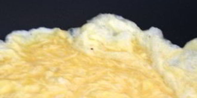 Рецепт рис с жареными креветками по-китайски