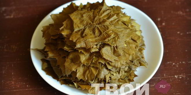 Рецепт армянская долма