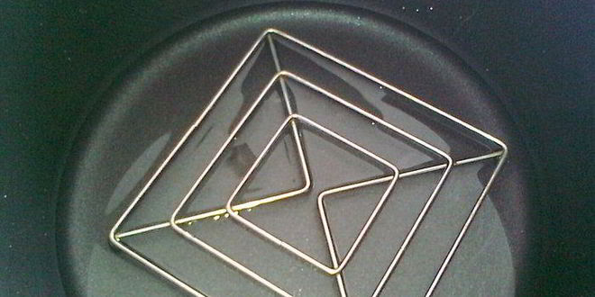 Рецепт долма из копченой рыбы