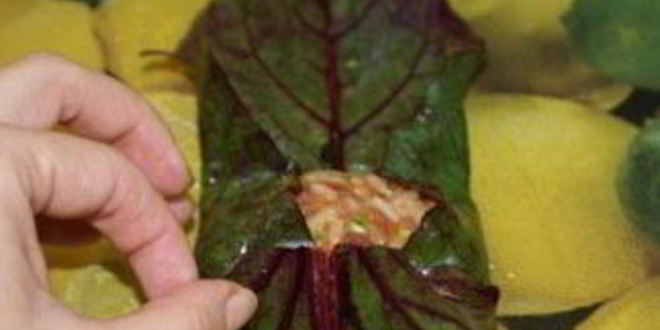 Рецепт долма из свекольных листьев