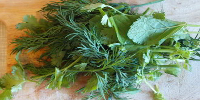 Рецепт долма