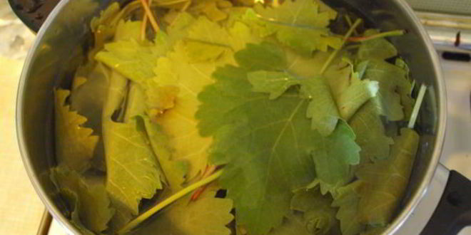 Рецепт долма