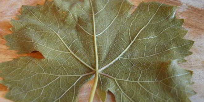 Рецепт долма