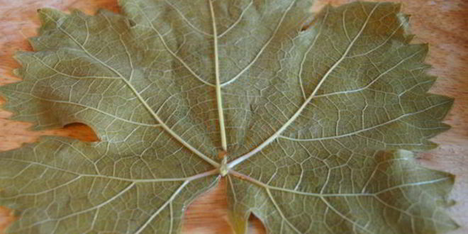 Рецепт долма