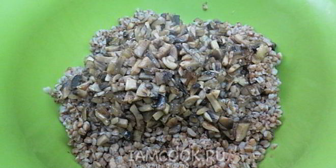 Рецепт голубцы с гречкой и грибами