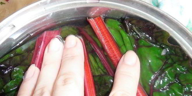 Рецепт голубцы в свекольной ботве