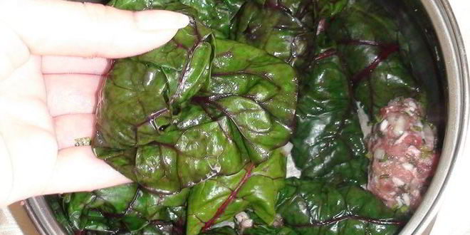 Рецепт голубцы в свекольной ботве