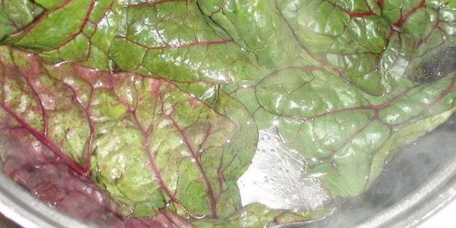 Рецепт голубцы в свекольной ботве