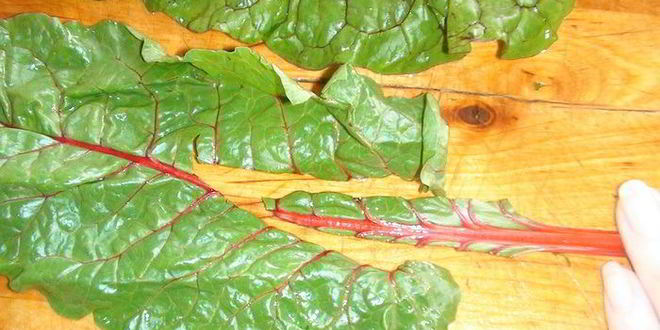 Рецепт голубцы в свекольной ботве