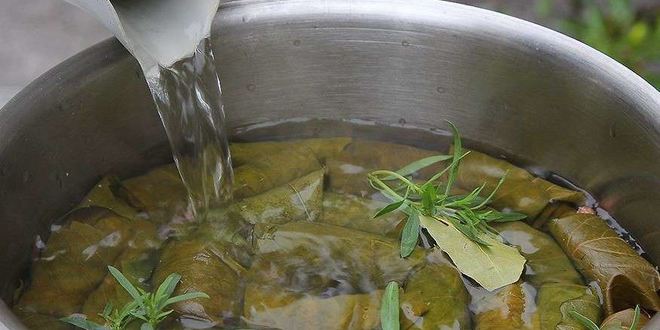 Рецепт грузинской долмы