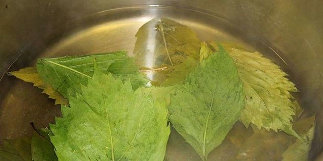 Рецепт грузинской долмы