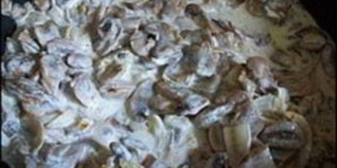 Рецепт грибы в сметане