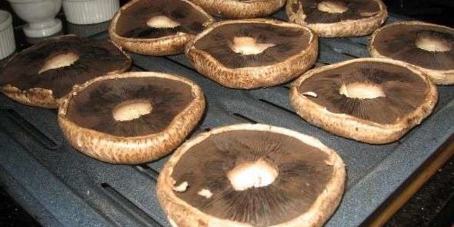 Рецепт грибы запеченные с сыром