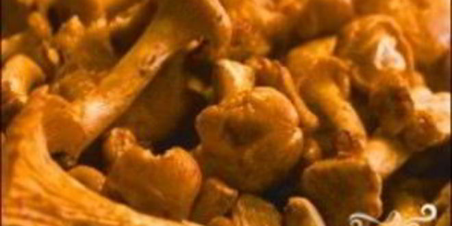 Рецепт лисички в духовке