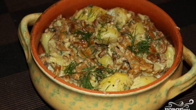 Рецепт Лисички жареные со сметаной